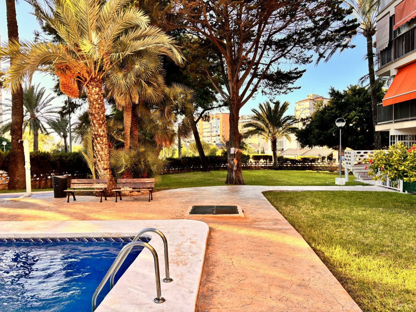 Piscina comunitaria rodeada de palmeras y jardín