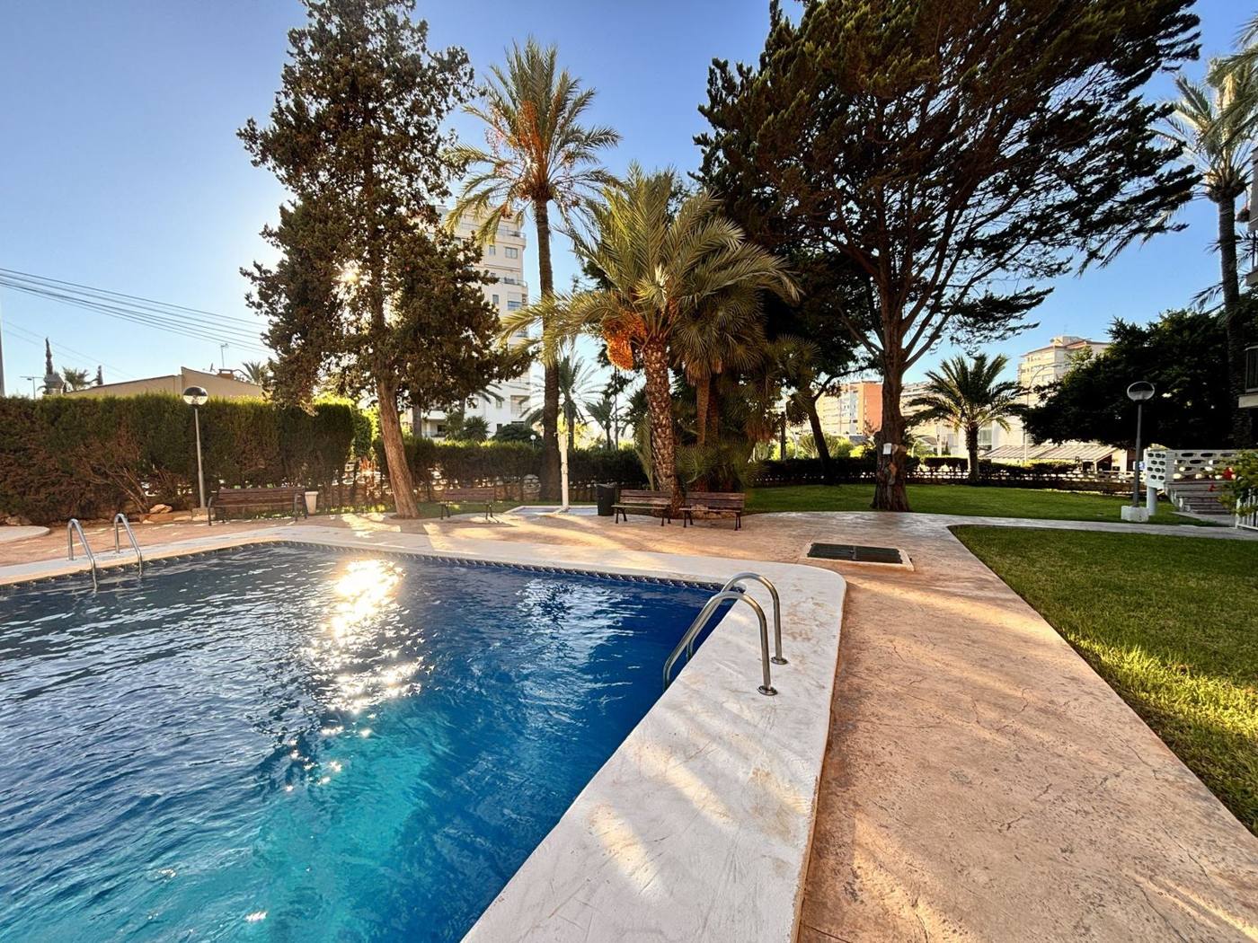 Piscina comunitaria con palmeras y zona ajardinada